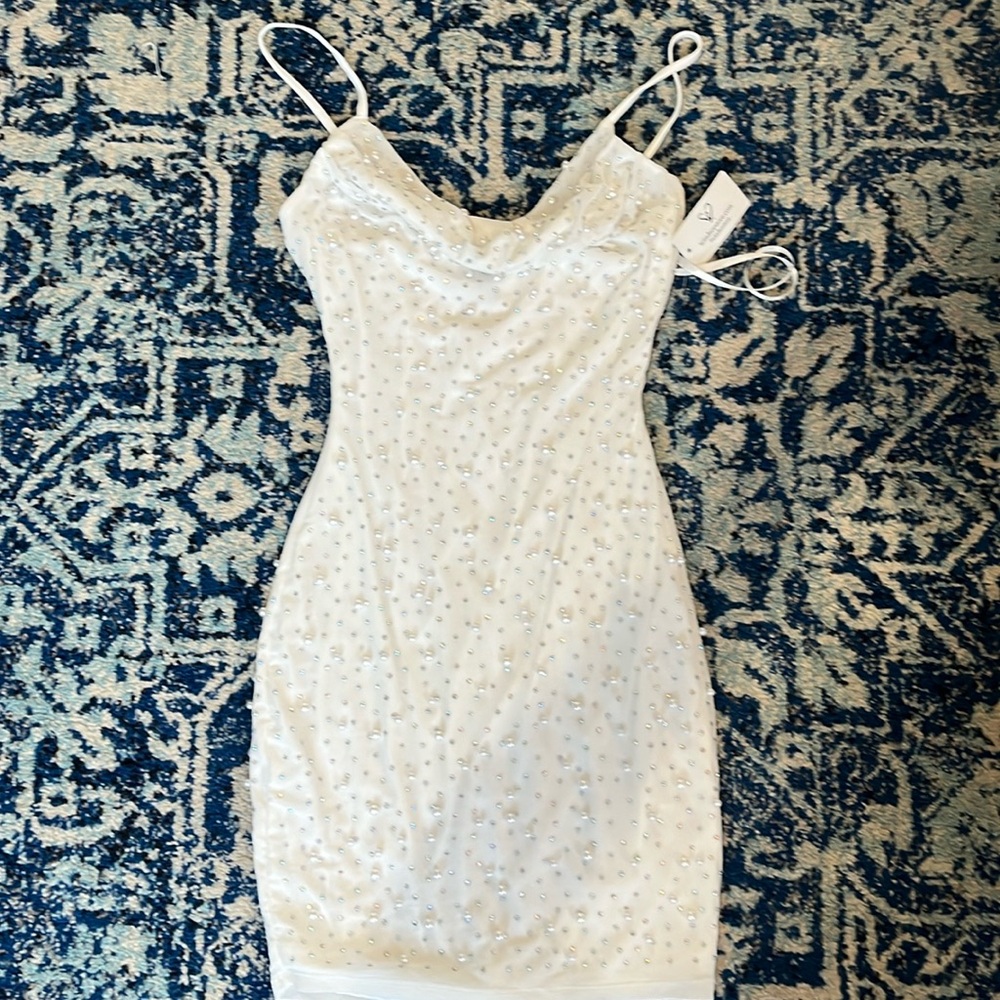 NWT Windsor pearl sequin dress